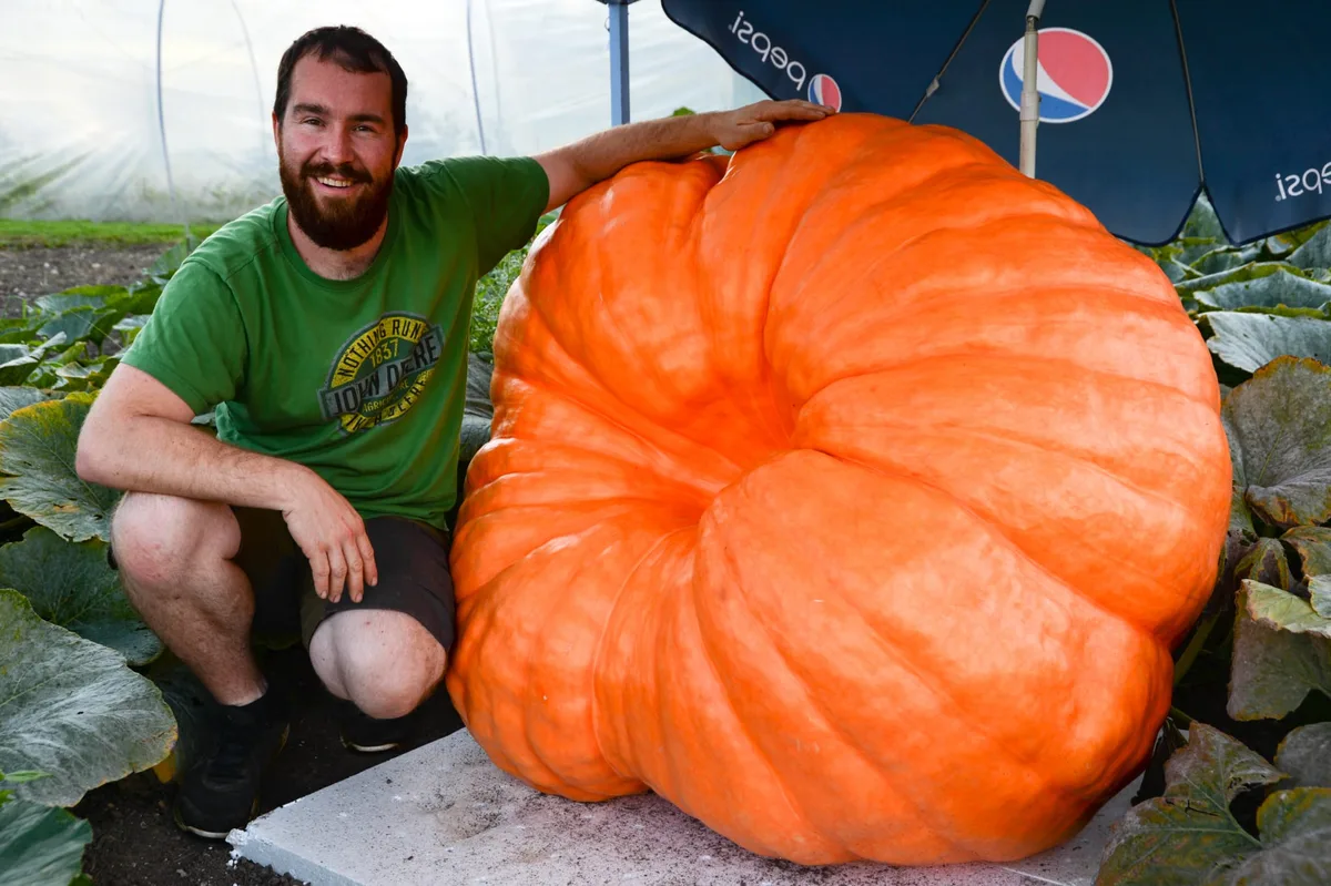 Der Esslinger Riesengemüsezüchter Florian Isler posiert mit seinem Atlantic Giant-Kürbis.